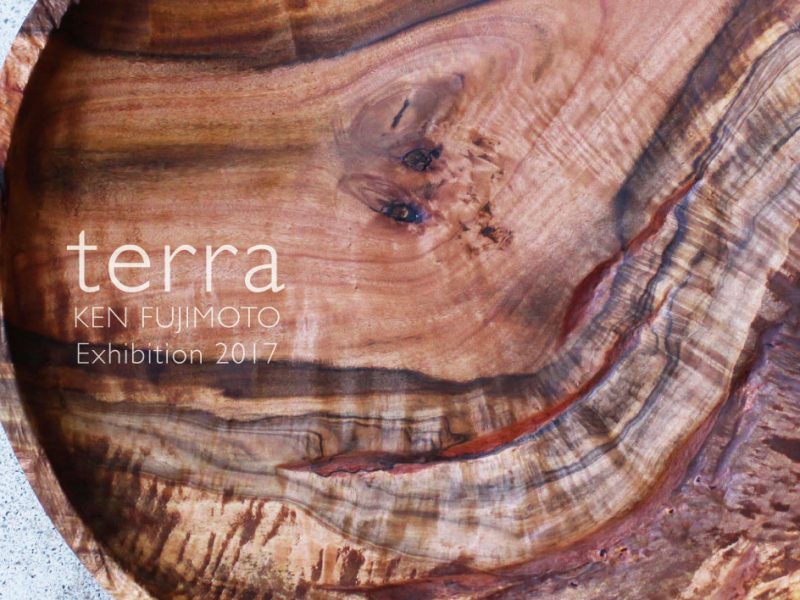 藤本健 木のうつわ展 ” terra “