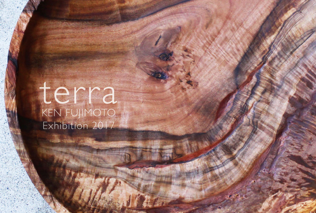 藤本健 木のうつわ展 ” terra “